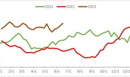 王茜 麻豆,时尚界的璀璨新星